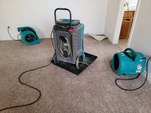 Best Water damage restoration specialists  in Navajo, NM