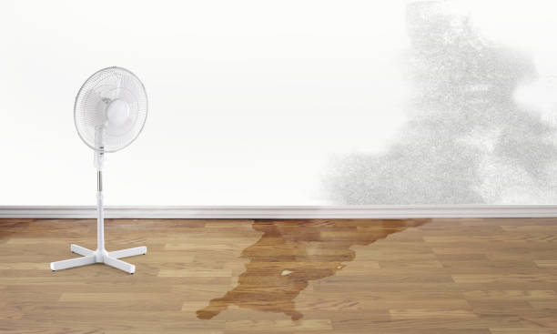 Best Ceiling water damage repair  in Navajo, NM