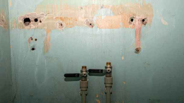 Local water damage restoration in NM