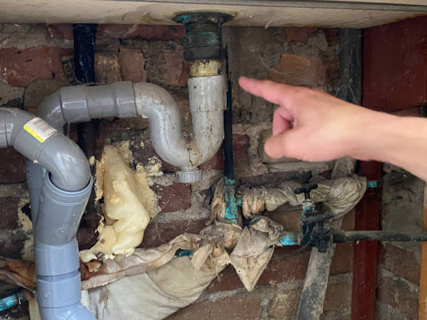 Best Basement water damage restoration  in Navajo, NM
